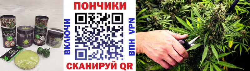 Canna-Cookies марихуана  Каменка 