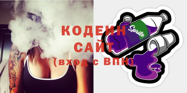 прущие крисы Ельня