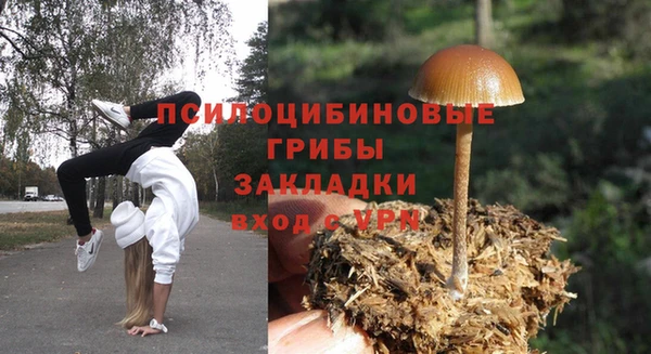 прущие крисы Ельня