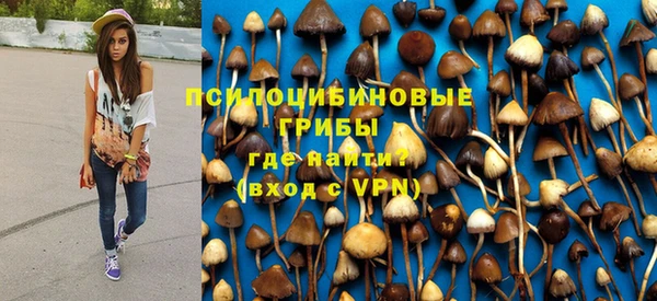 прущие крисы Елабуга