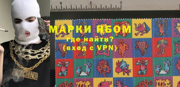 прущие крисы Ельня