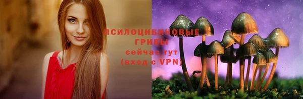 сатива Елизово