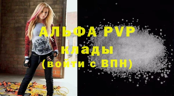 прущие крисы Ельня