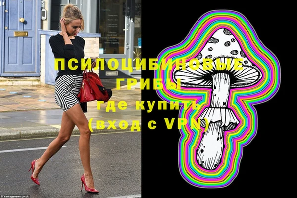 прущие крисы Ельня