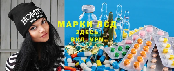 сатива Елизово