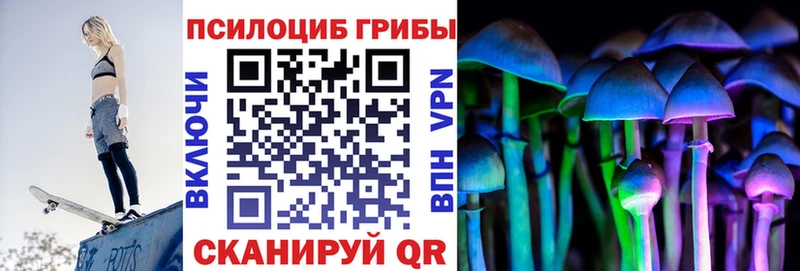 Псилоцибиновые грибы Psilocybine cubensis  OMG ССЫЛКА  Каменка 