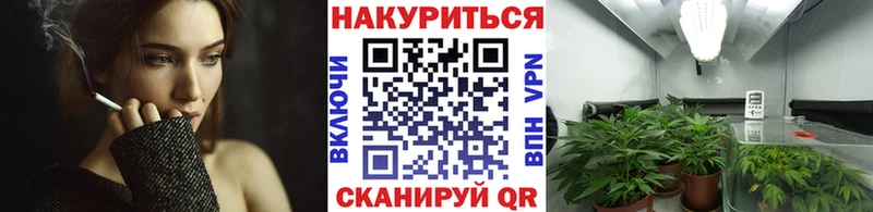 Бошки Шишки план  цена   нарко площадка клад  Каменка 